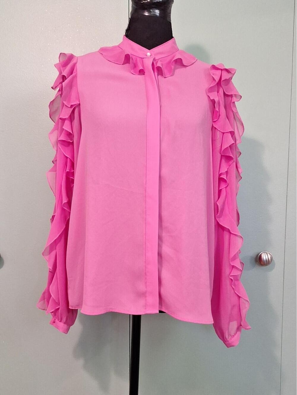 Zara Pink Sheer Ruffle Blouse Long Sleeve Button Closure Size Small